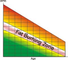 Bpm Fat Burn Chart