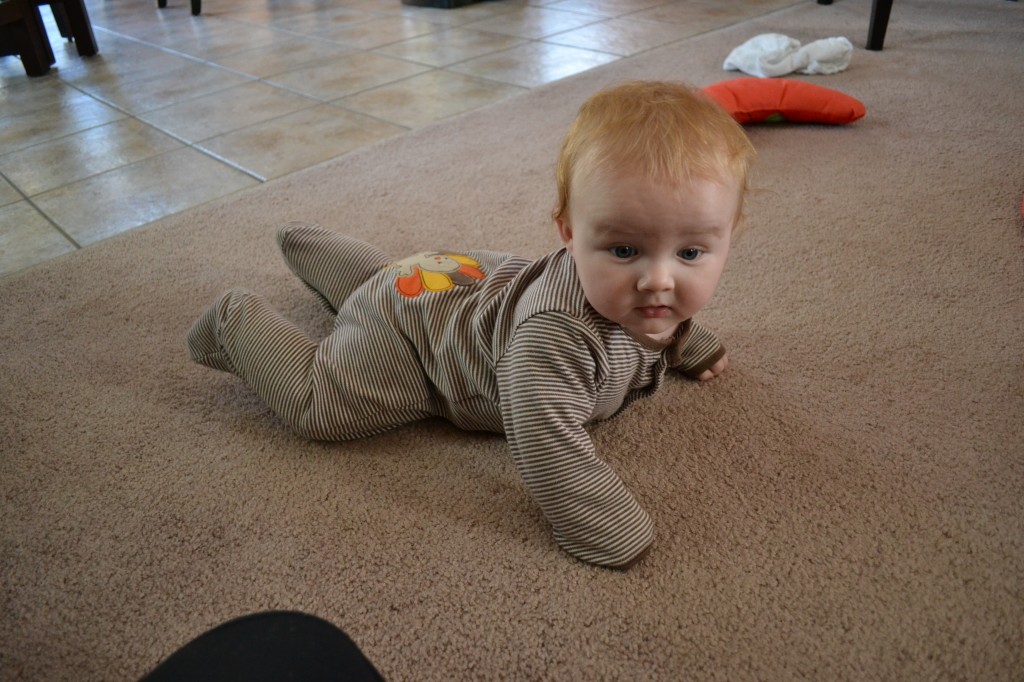 Tummy time on Thanksgiving