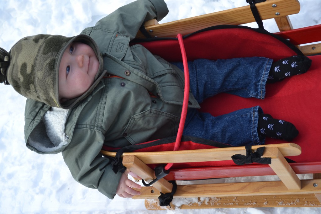 Baby in Winter Sled