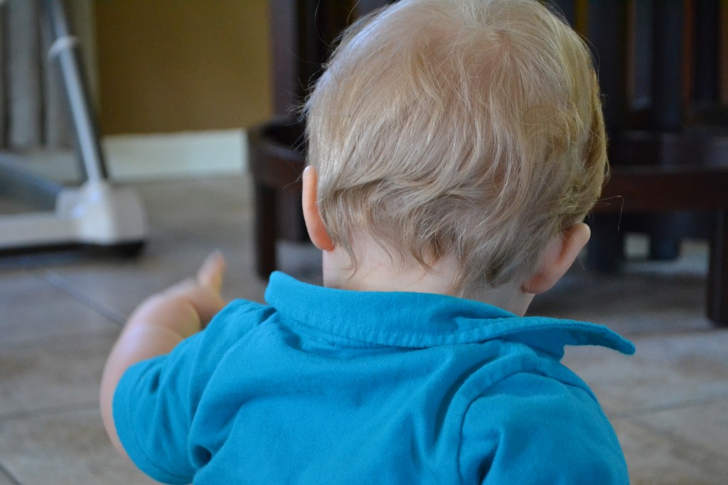 Baby's First Haircut