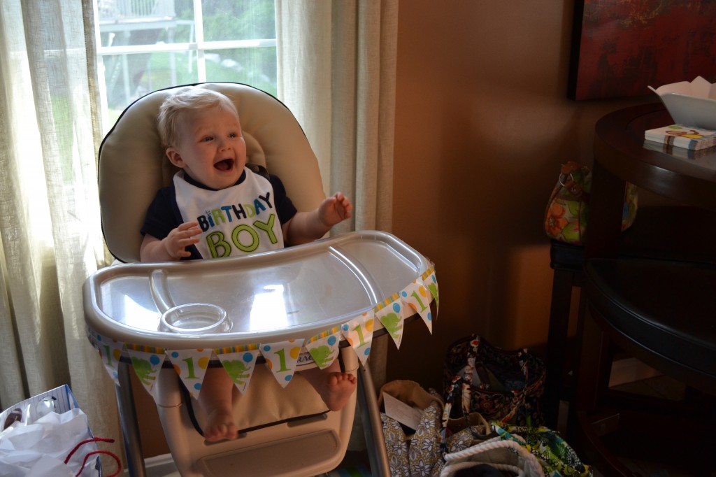 Baby Boy Excited for Cupcake at First Birthday