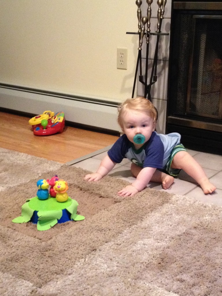Baby Playing with Toys