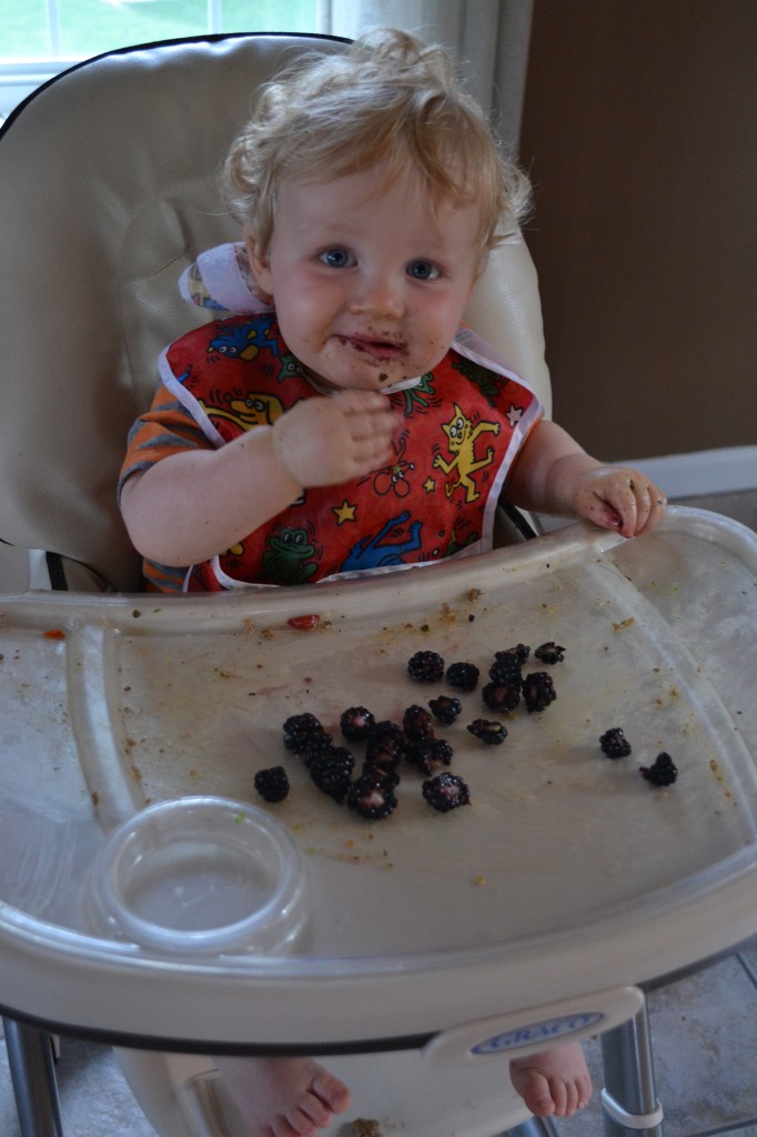 Baby Eating Blackberries