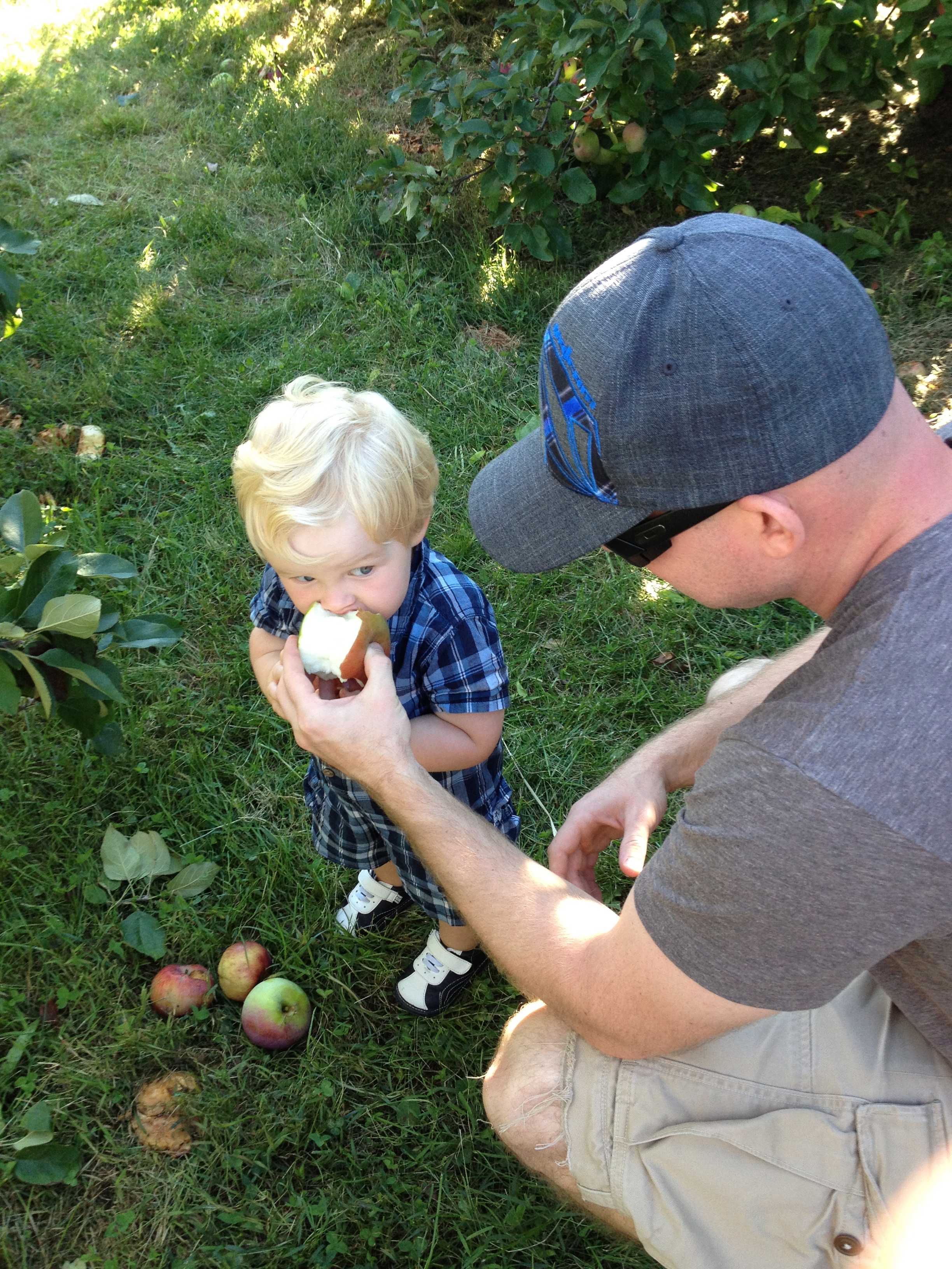 Dad Helping Toddler Eat Apple During Apple Picking