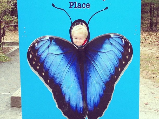 Toddler at Butterfly Place