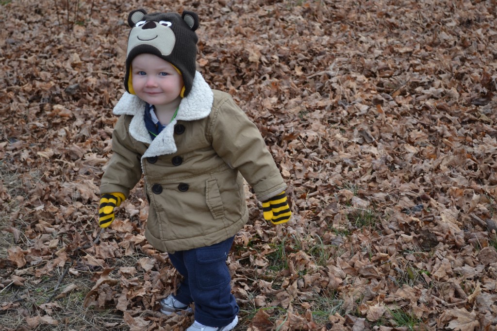 Sweet Toddler Boy in Winter Coat and Hat